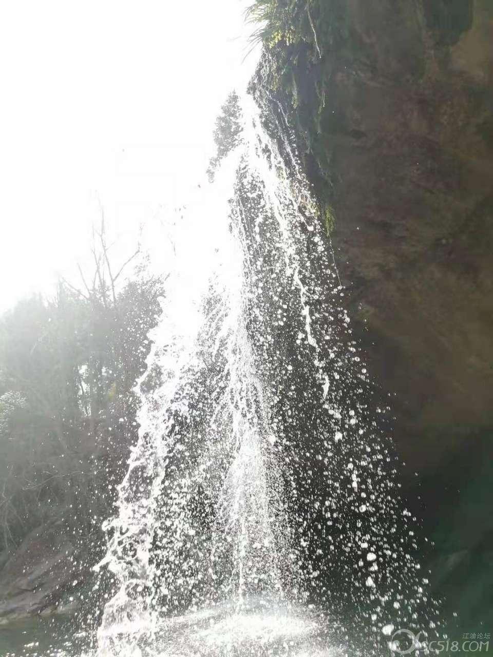 燃烧吧大脑免广告最新版